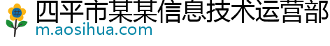 四平市某某信息技术运营部